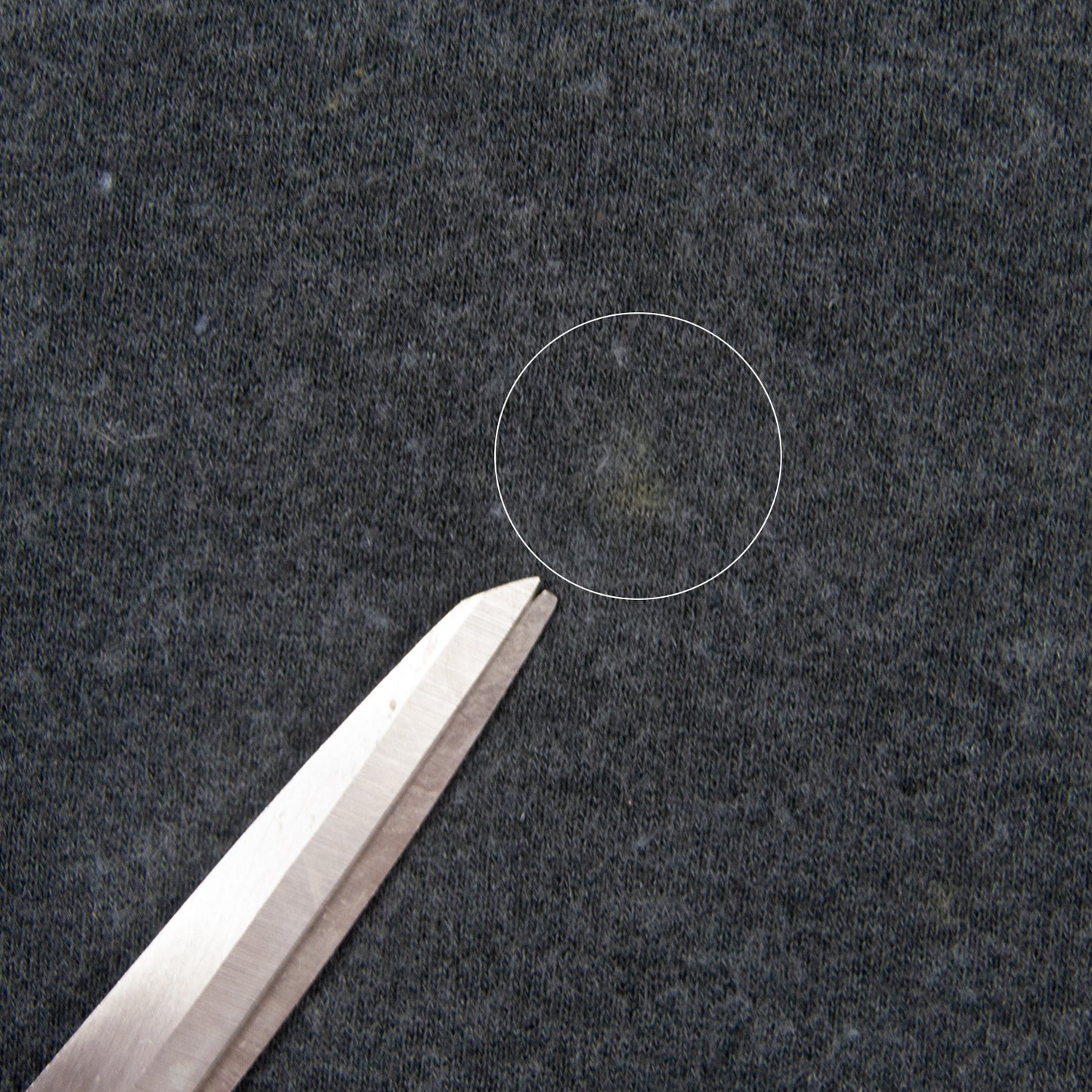 Hysteric Glamour Doll Hoodie