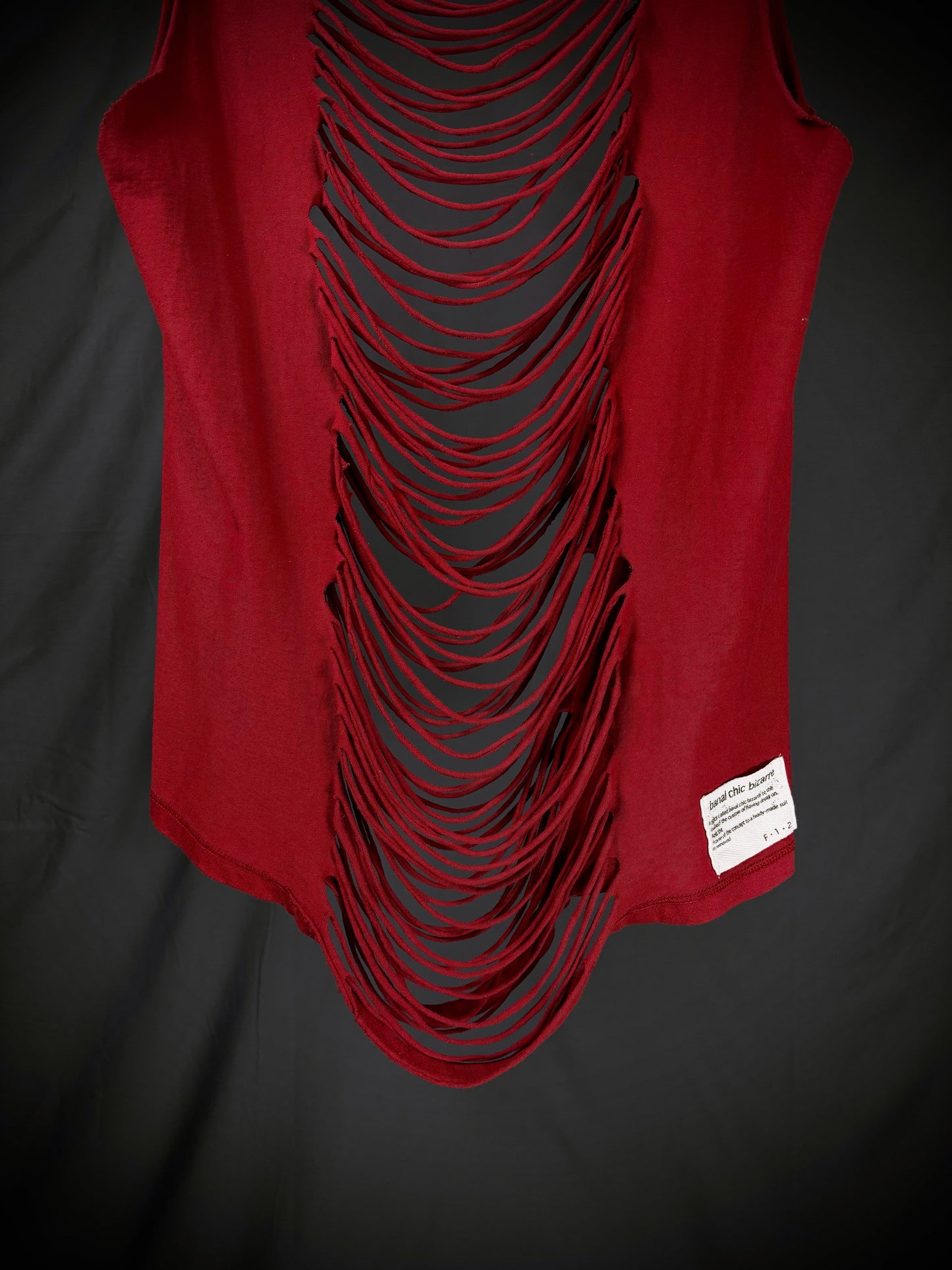 Banal Chic Bizarre Shredded Tank Top